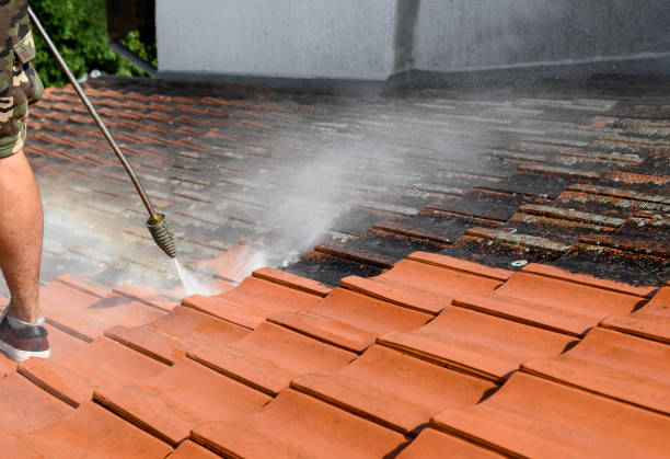 Best Roof Power Washing Services  in Florence, SC